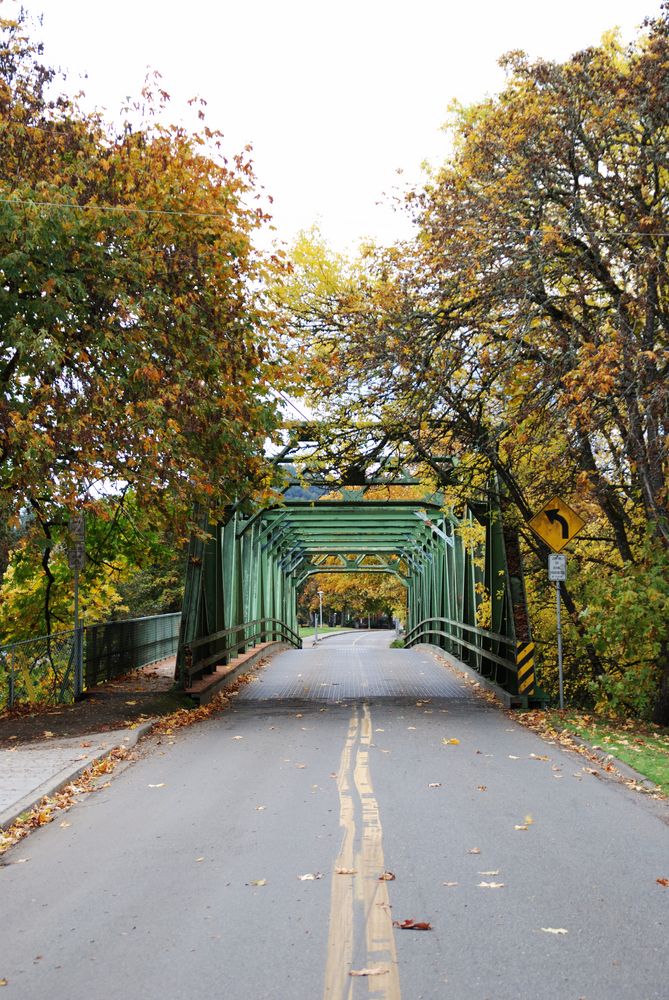 Bridge in Stewart Park