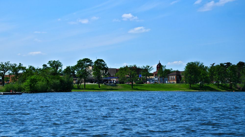 Trees surrounding Lake Bemidji