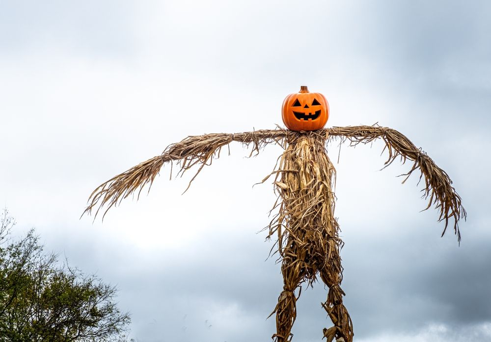 Pumpkin scarecrow at Walden Pumpkin Farm