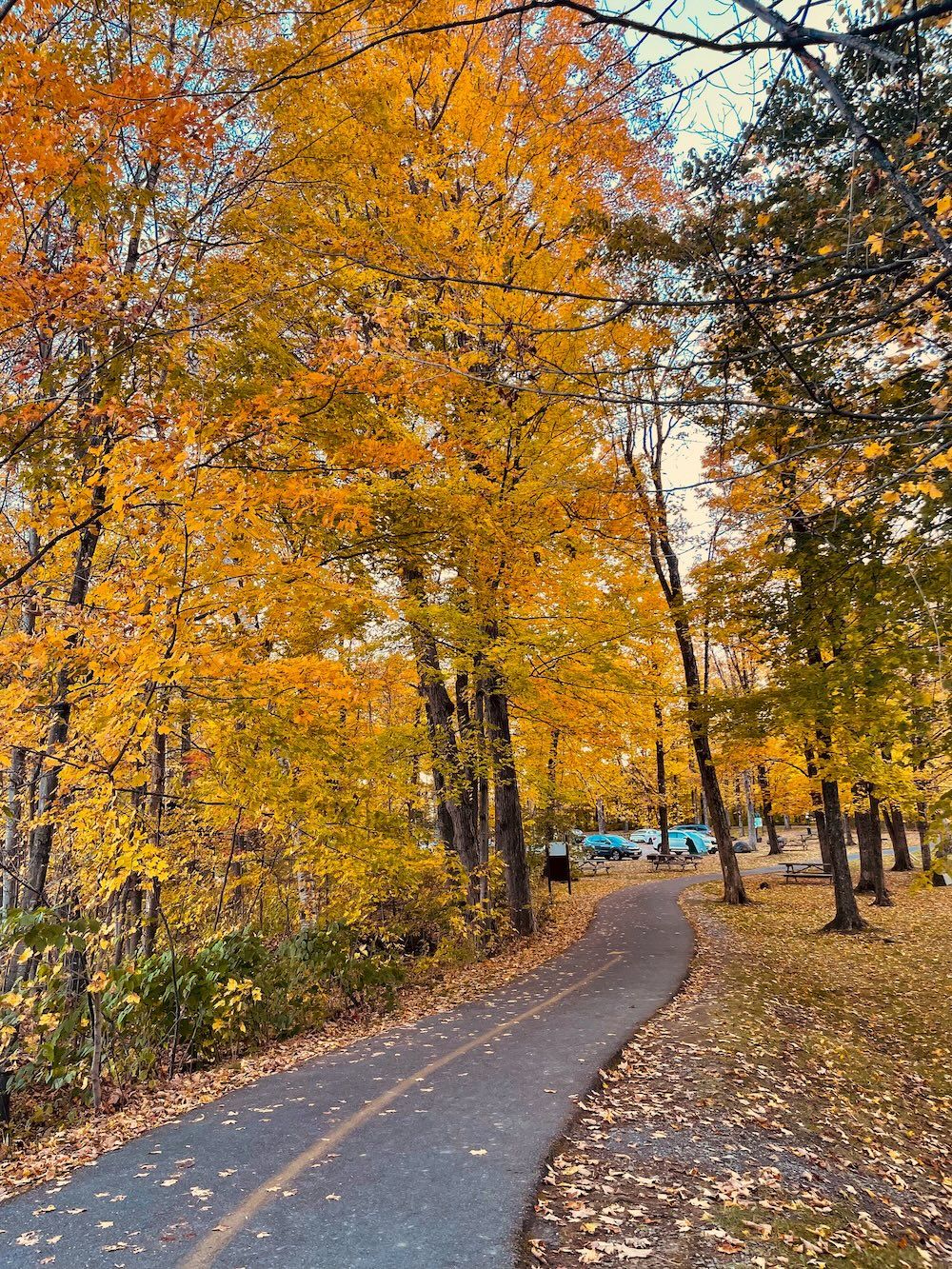 Stowe, VT: Mountain Beauty and Outdoor Adventures