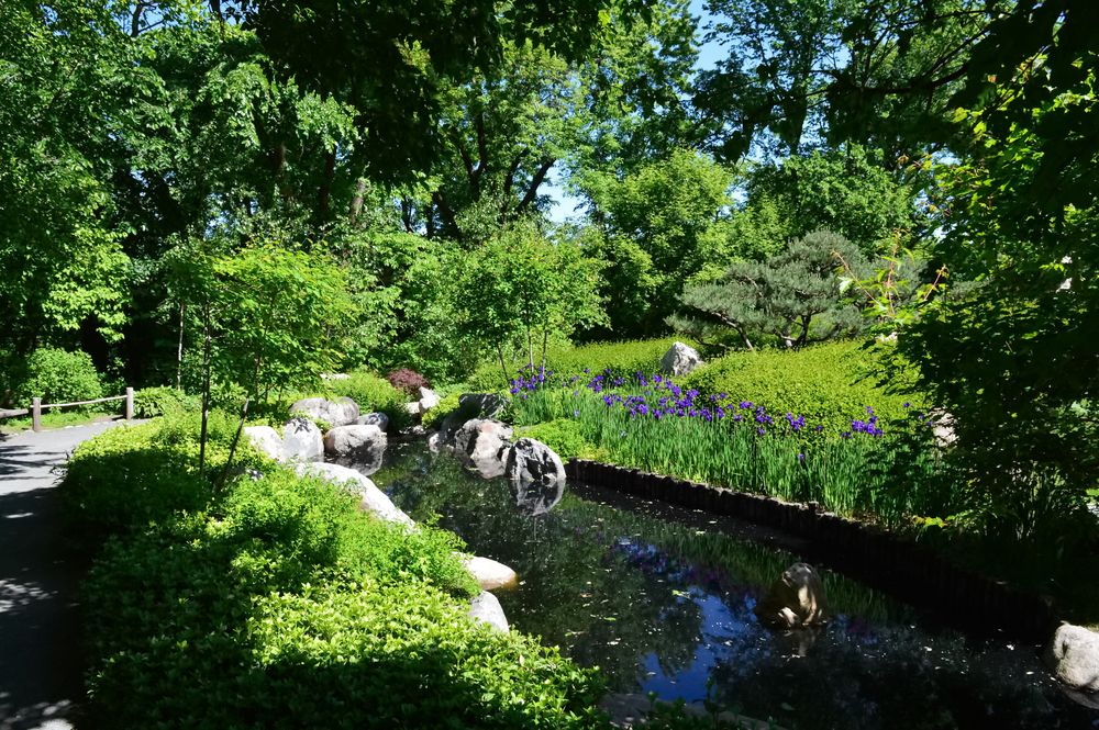 Garden in Como Park Zoo and Conservatory