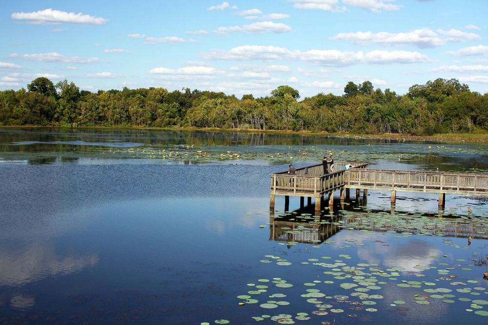 Waters at Cullinan Park
