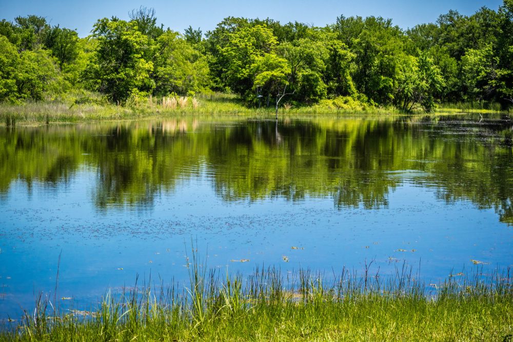 The waters of Hagerman National Wildlife Refuge