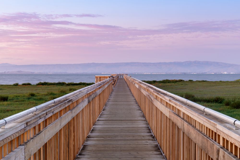 Long boardwalk at Baylands Nature Preserve