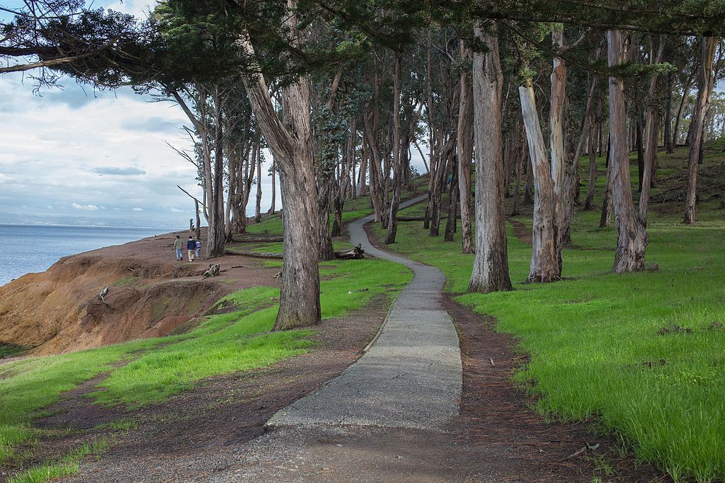 Nature trail at Coyote Point Park