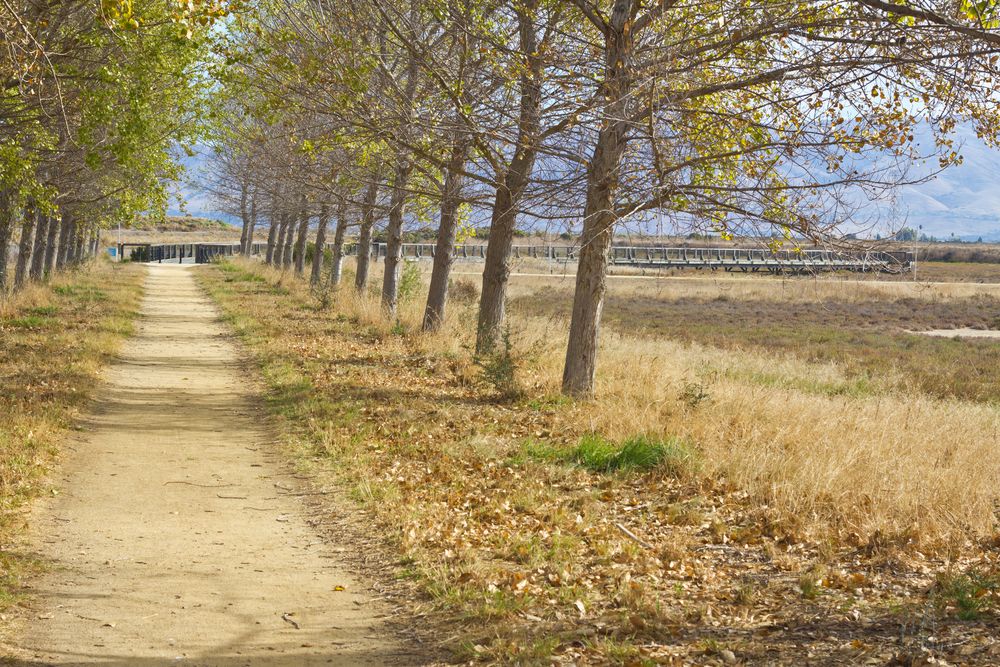 Nature trail at Moffett District