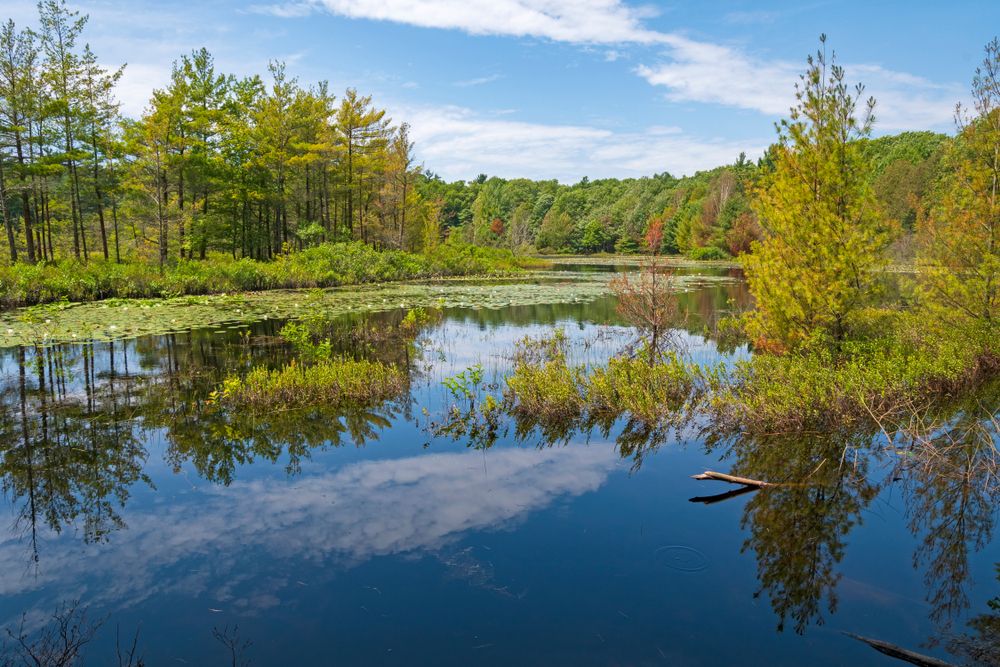 Lake in Muskegon State Park