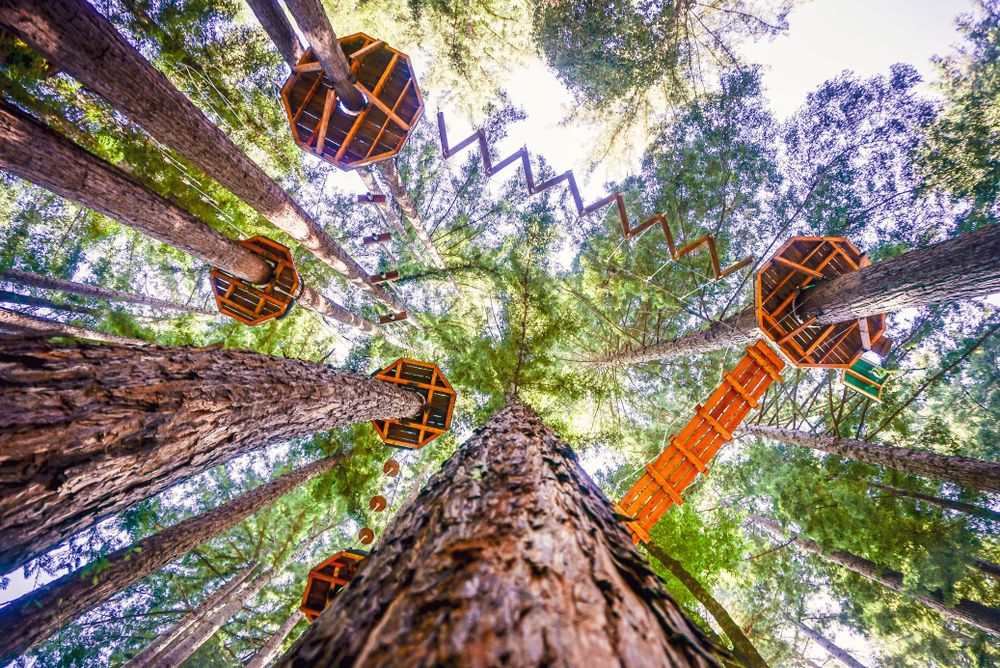 Rope course at Mount Hermon Adventures