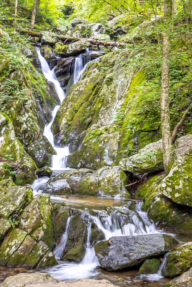 Daytime view of Dark Hollow Falls