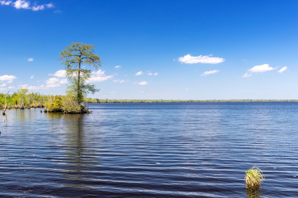 Lake Drummond at Great Dismal Swamp National Wildlife Refuge