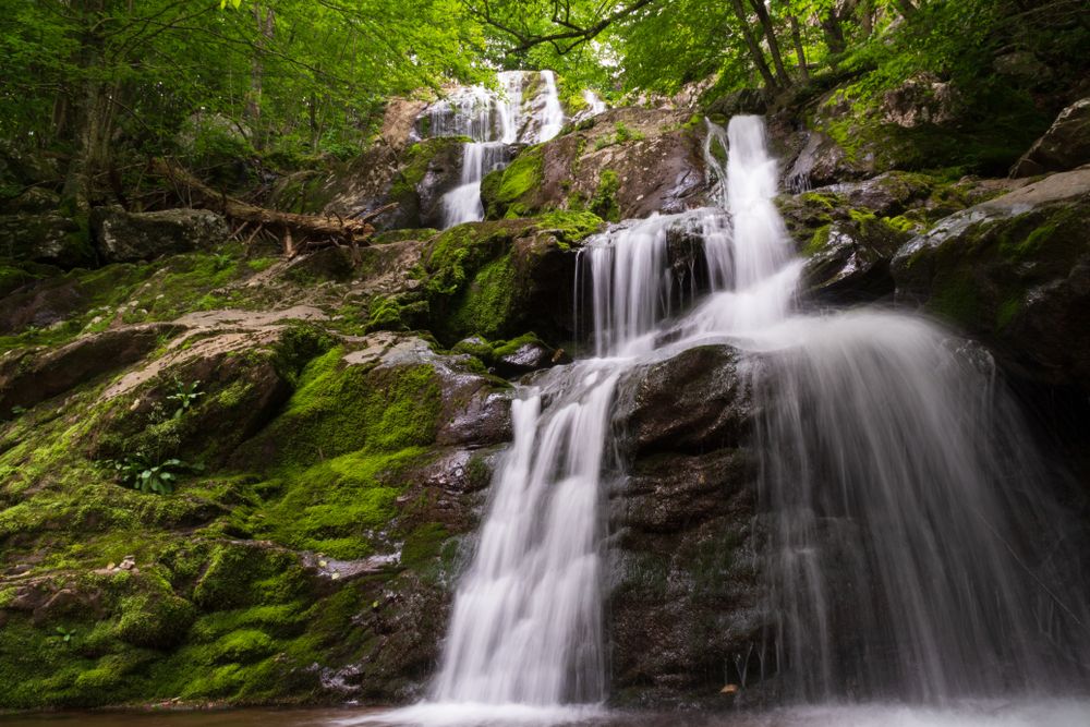 A waterfall at Shenandoah National Park
