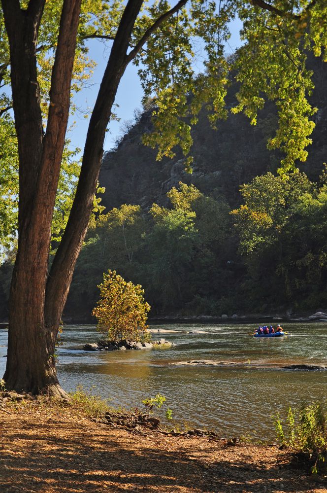 People kayaking on Shenandoah River