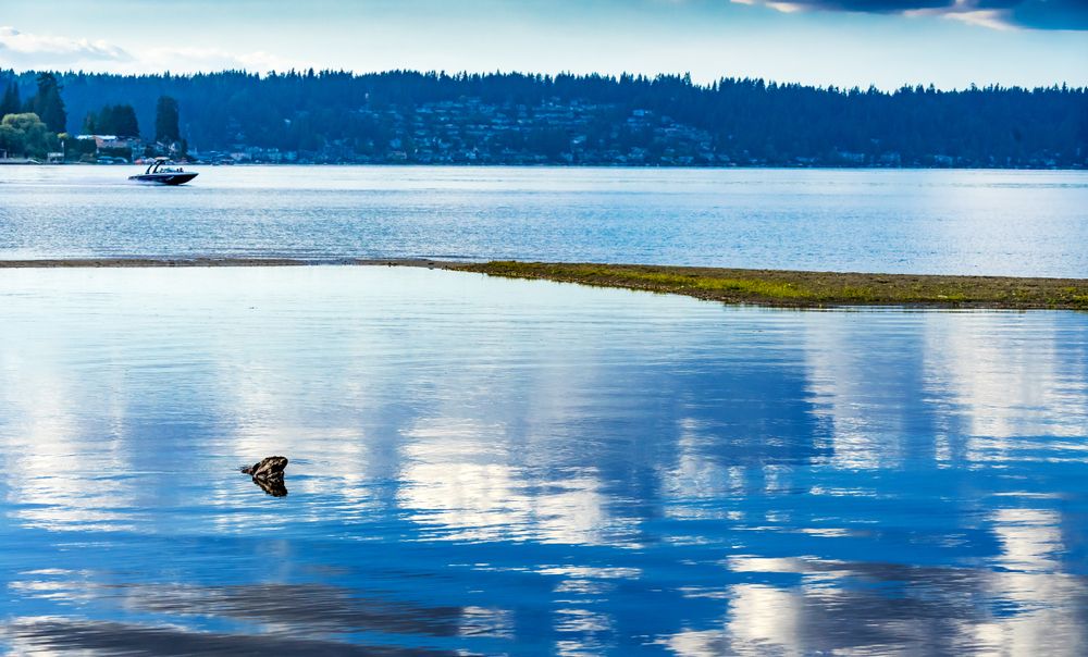 The waters of Lake Sammamish State Park