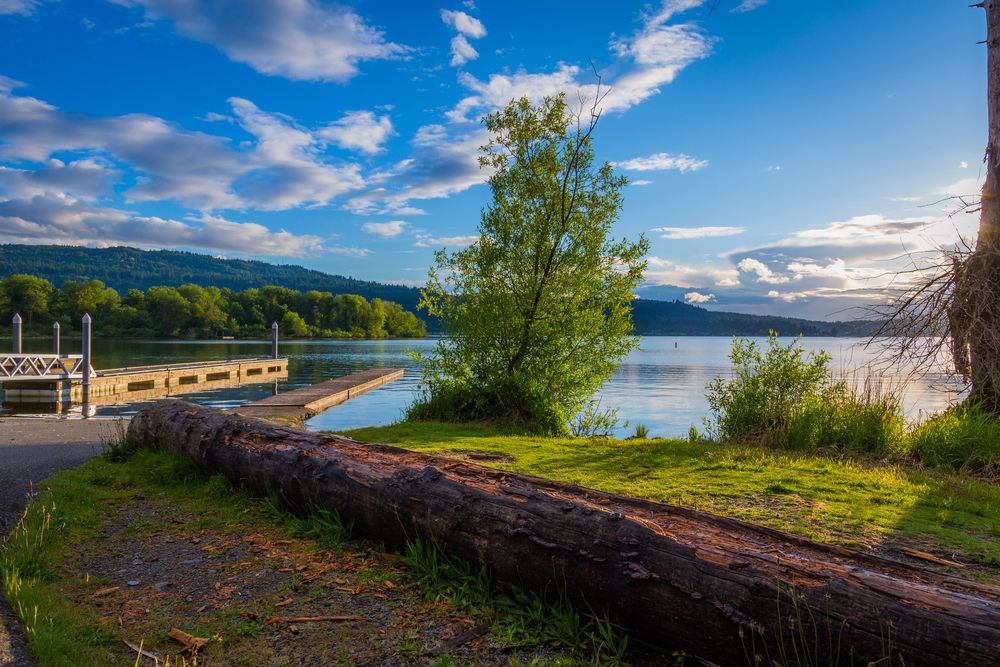 Boat docks at the Majestic Lake Sammamish