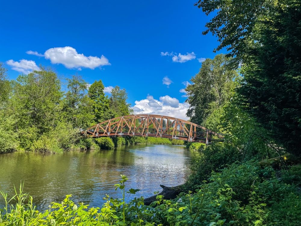 A bridge at Marymoor Park