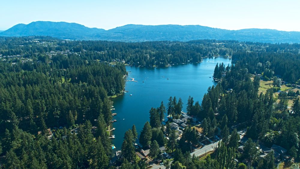 Aerial view of Pine Lake Park