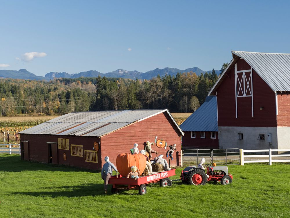 Halloween at Remlinger Farms
