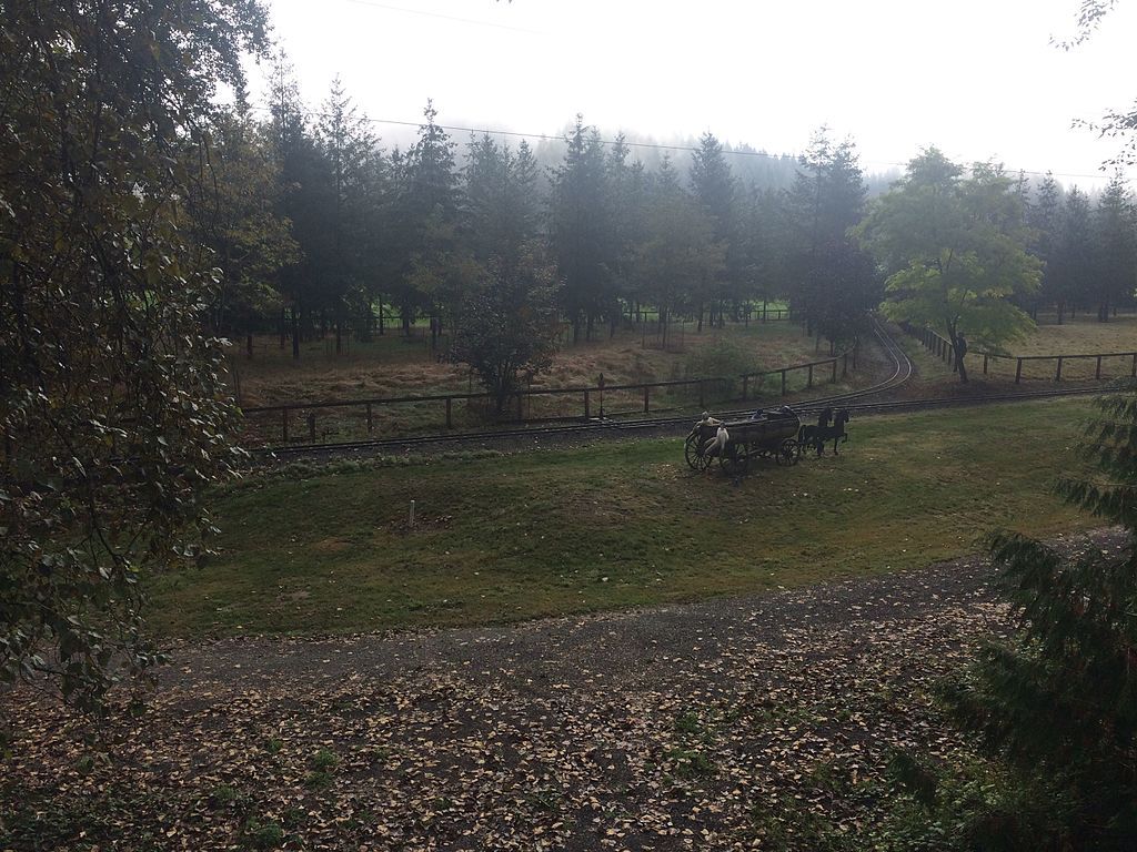 Tracks through Remlinger Farms
