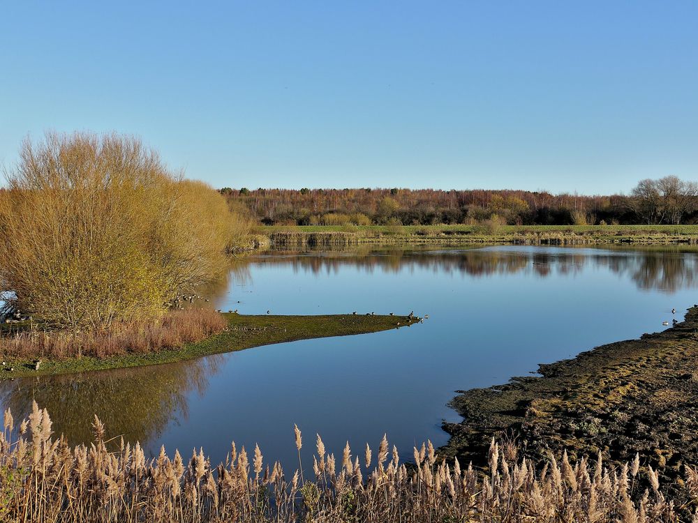 The waters of Old Moor Nature Reserve