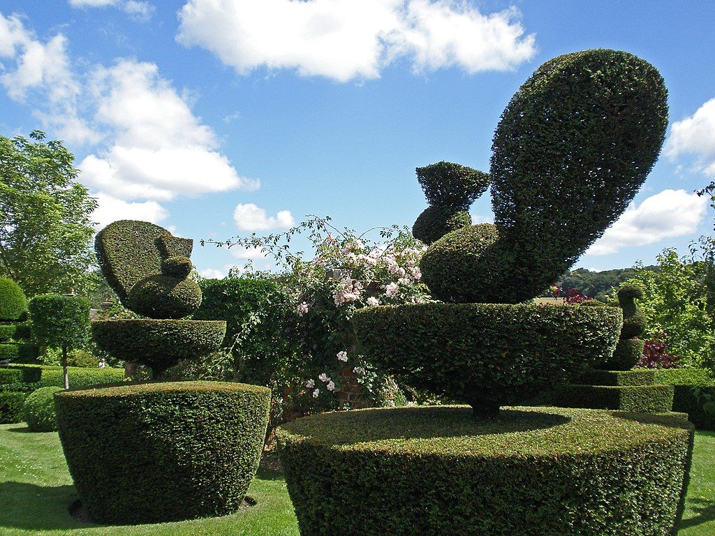 Shaped shrubs at Felley Priory Garden