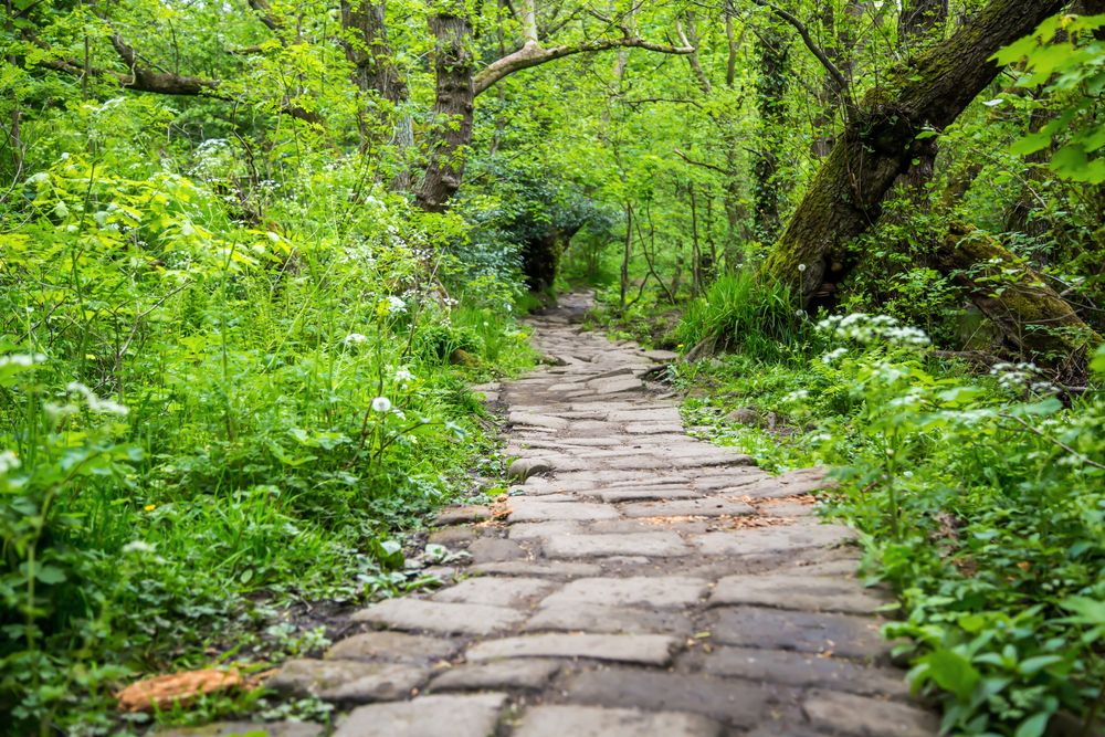 Cobblestone trail at Rivelin Valley Nature Trail