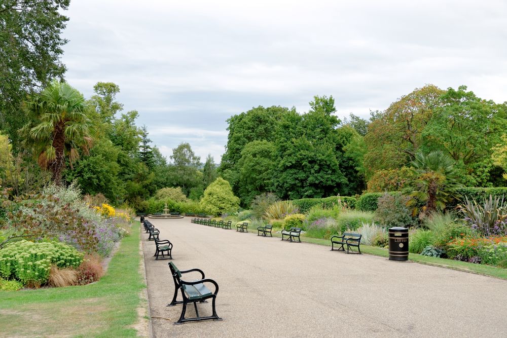 Benches along Sheffield Botanical Gardens' pathway