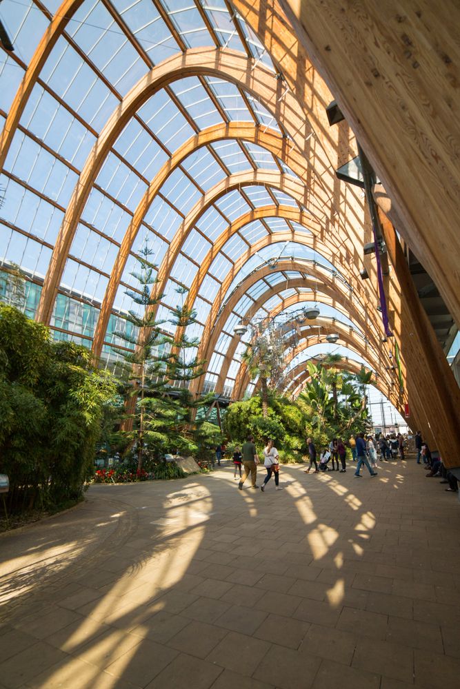 Interior of the Sheffield Winter Garden