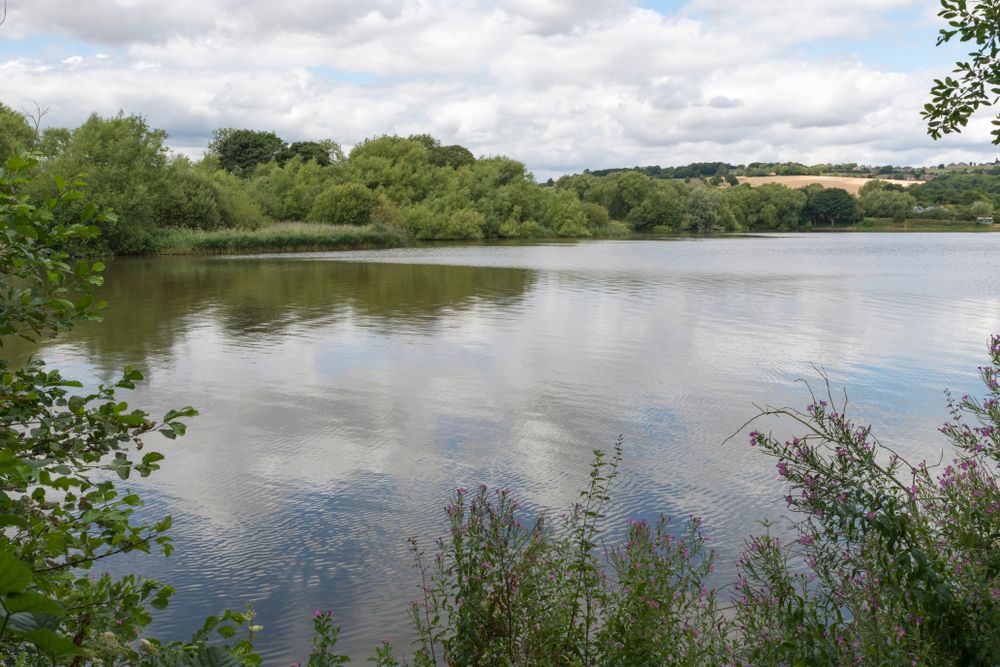 The waters of Worsbrough reservoir