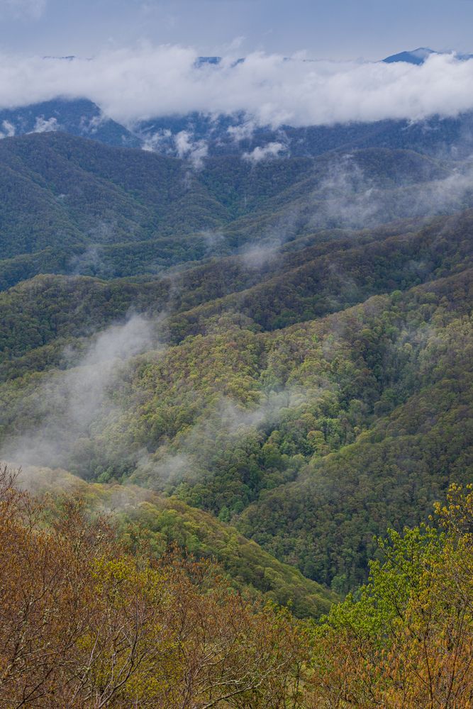 Scenic view of Great Balsam Mountains