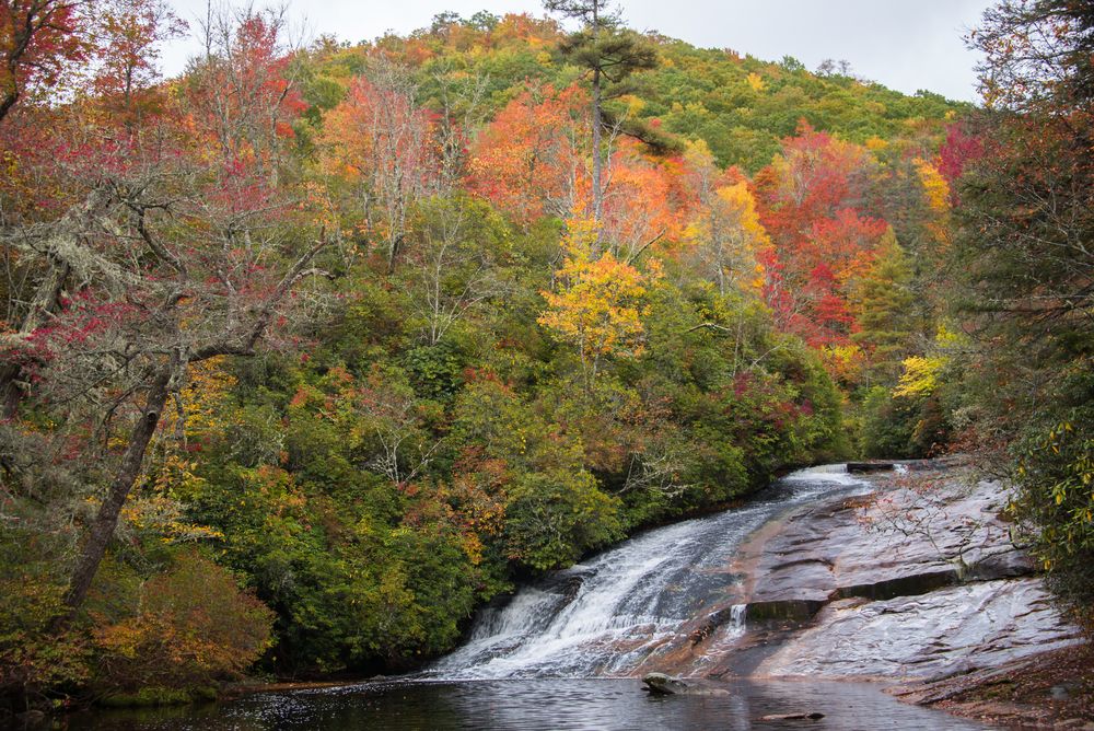 Scenic view of Panthertown Valley Backcountry Area