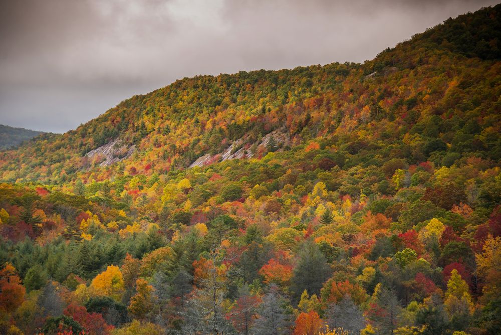 Fall scene at Panthertown Valley Backcountry Area