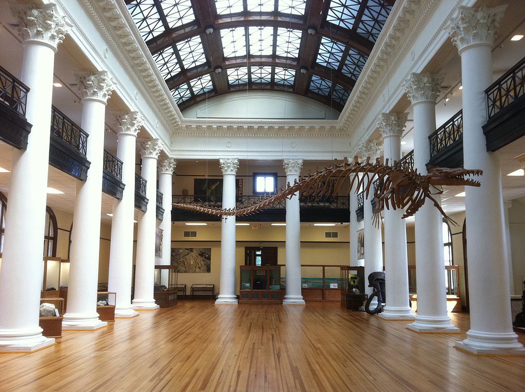 Interior of the Alabama Museum of Natural History 