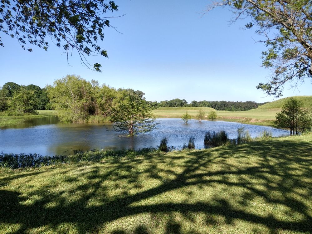 The waters of Moundville Archaeological Park