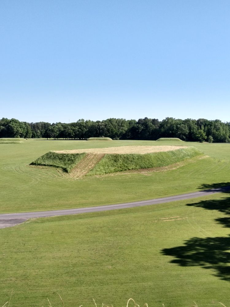 A mound at Moundville Archaeological Park