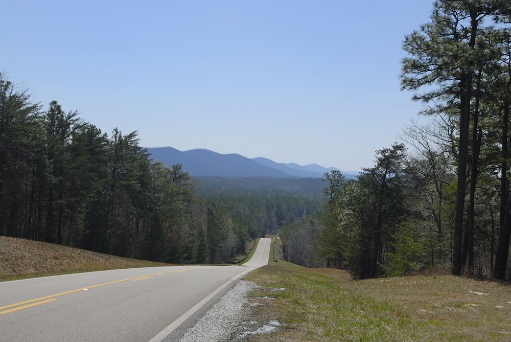 The road of Talladega National Forest