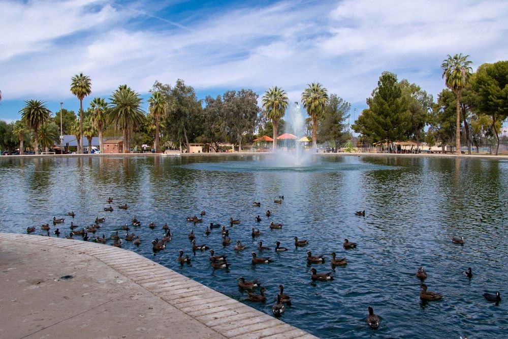 Duck pond at Gene C. Reid Park