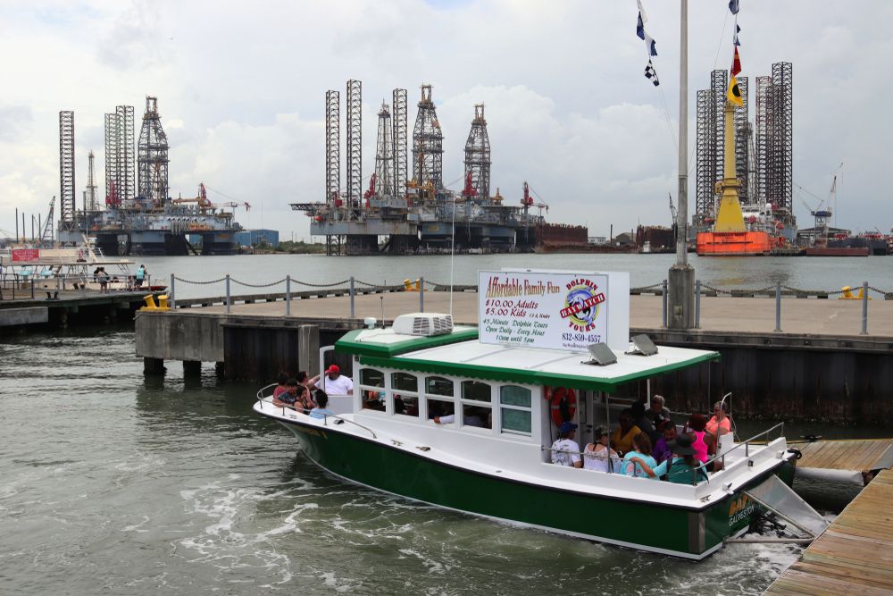 People aboard the Baywatch Dolphin Tours boat