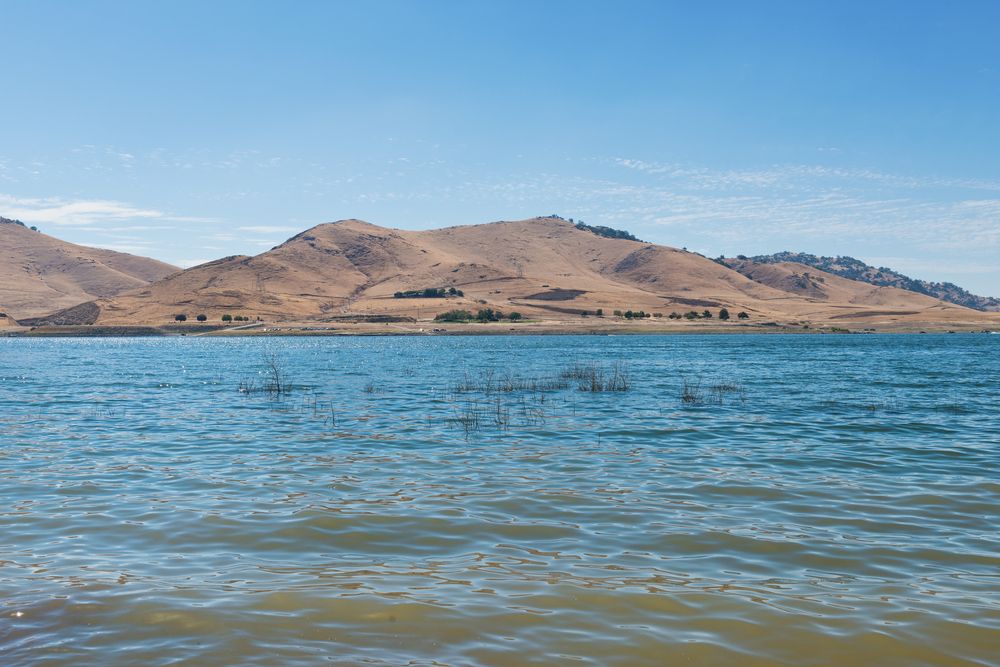 The waters of Lake Success