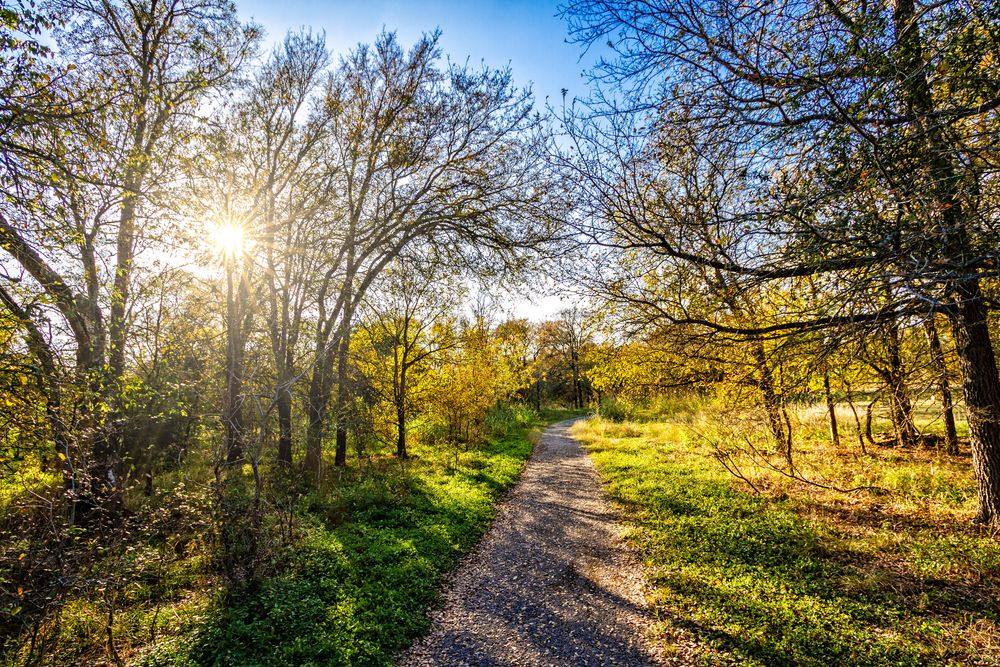 Nature trail at McKinney Falls State Park