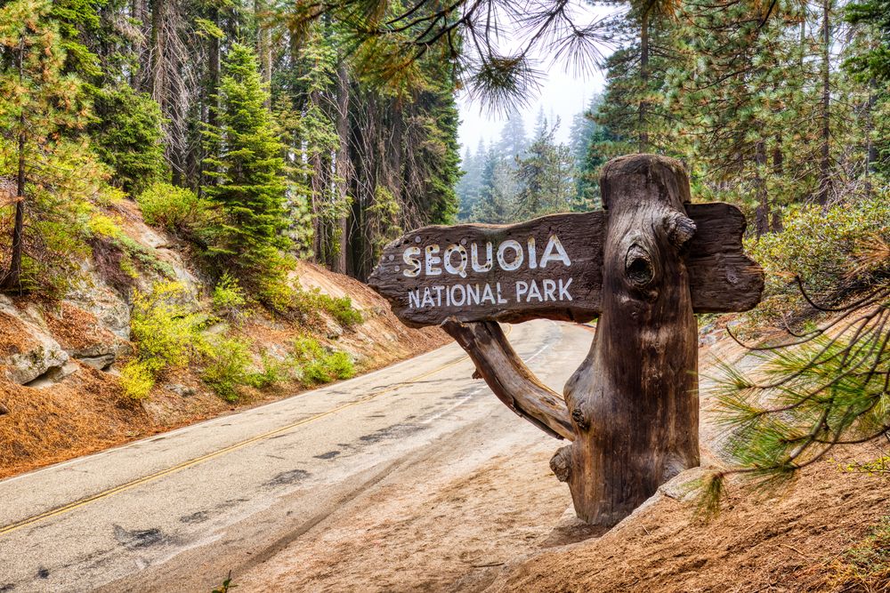Welcome sign of Sequoia National Park
