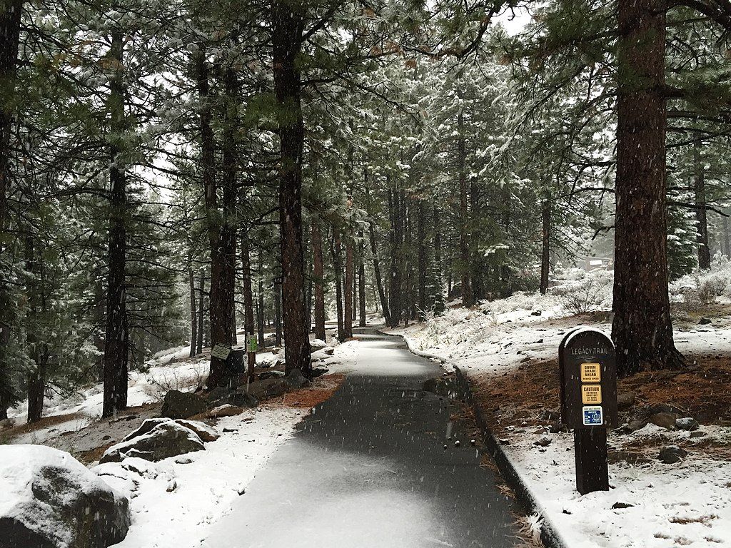 Winter view of Truckee River Legacy Trail