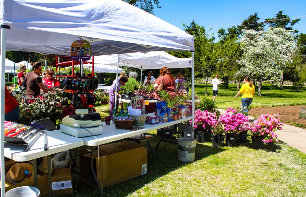 Flowers for sale at Tulsa Garden Center
