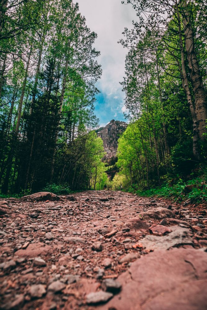 Scenic view of Bear Creek Trail