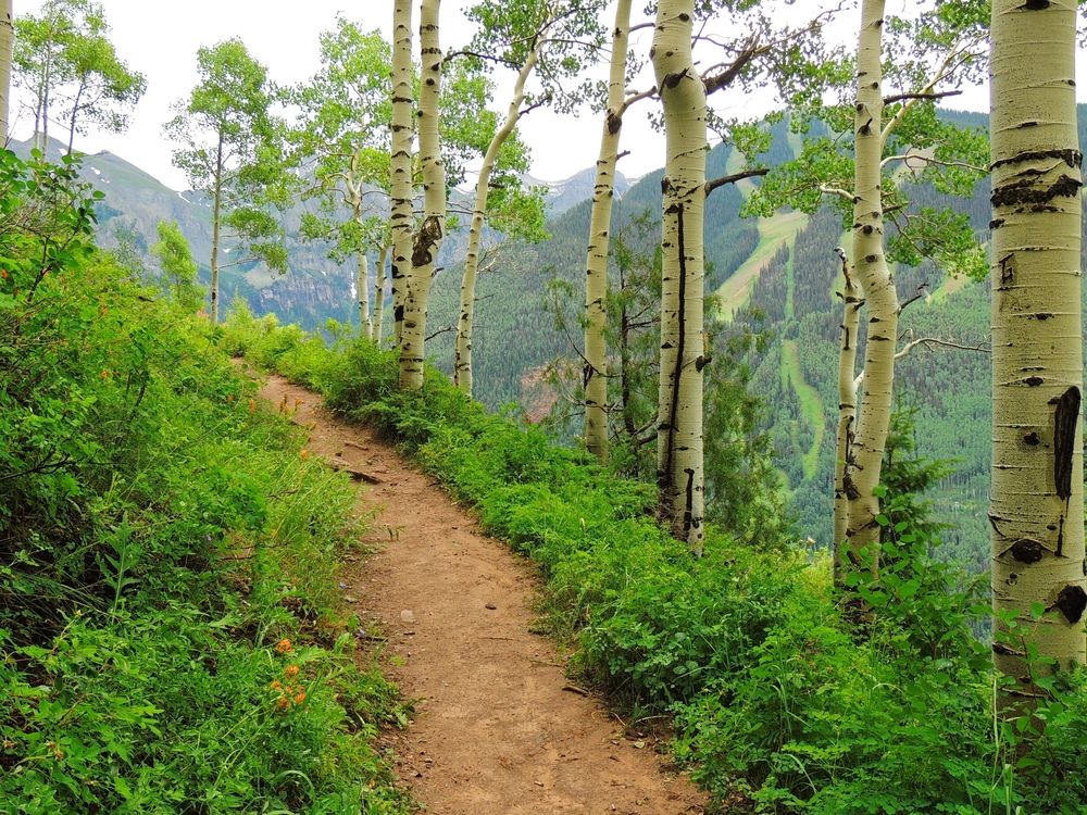 Hiking trail of Jud Wiebe Memorial Trail