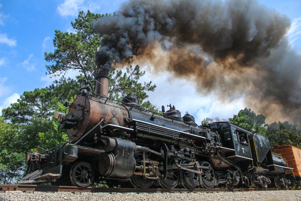 View of Texas State Railroad