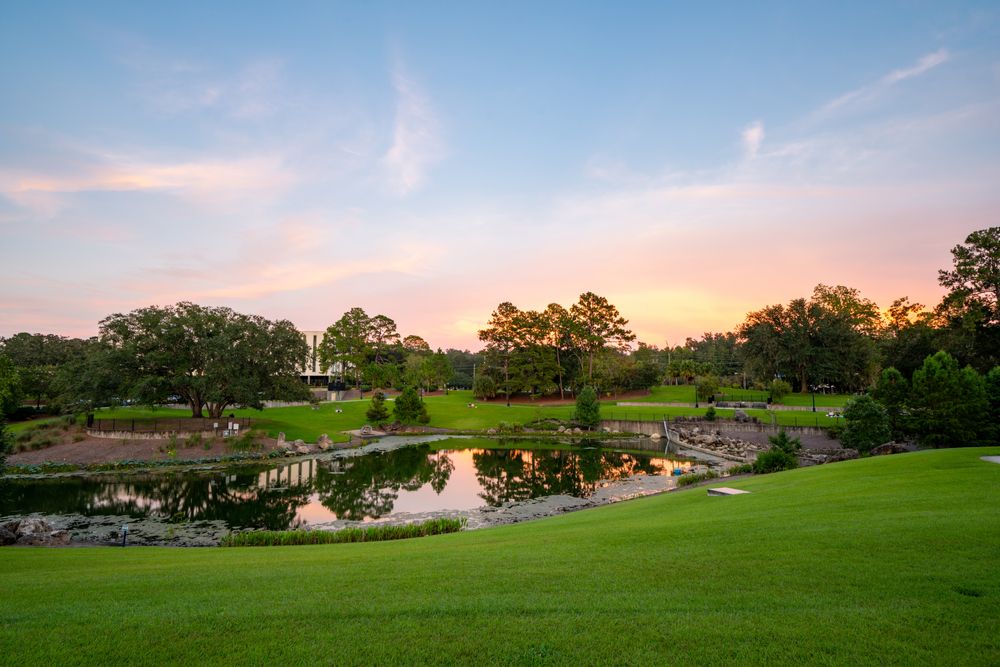 View of the sunset from Cascades Park