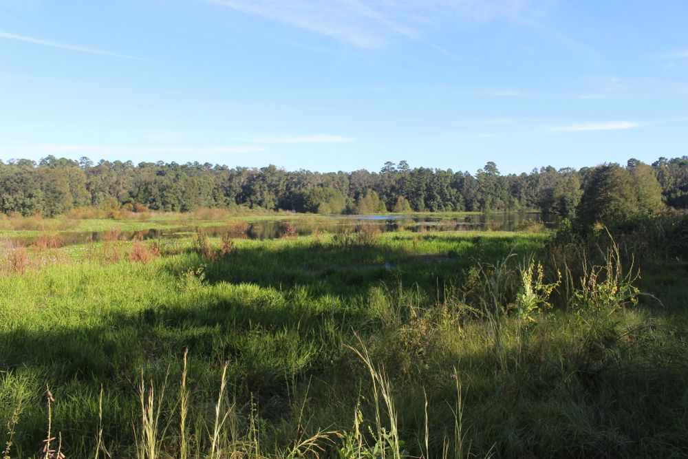 Daytime view of Elinor Klapp-Phipps Park
