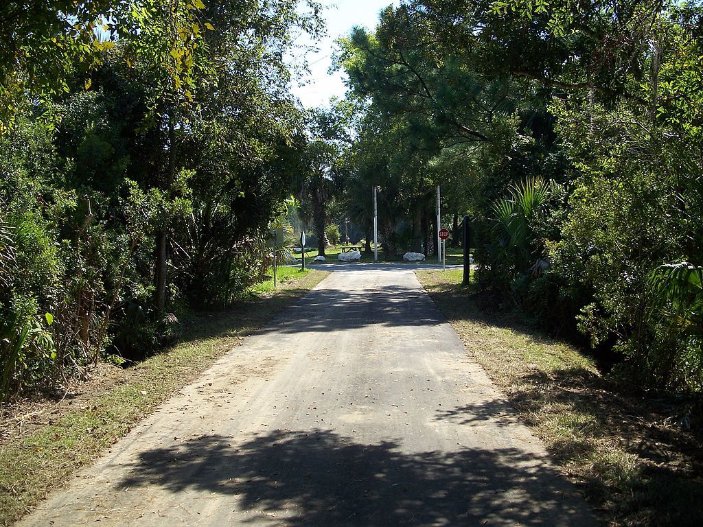 Trees lining St. Marks Trail