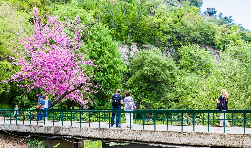 People on National Botanical Gardens' bridge