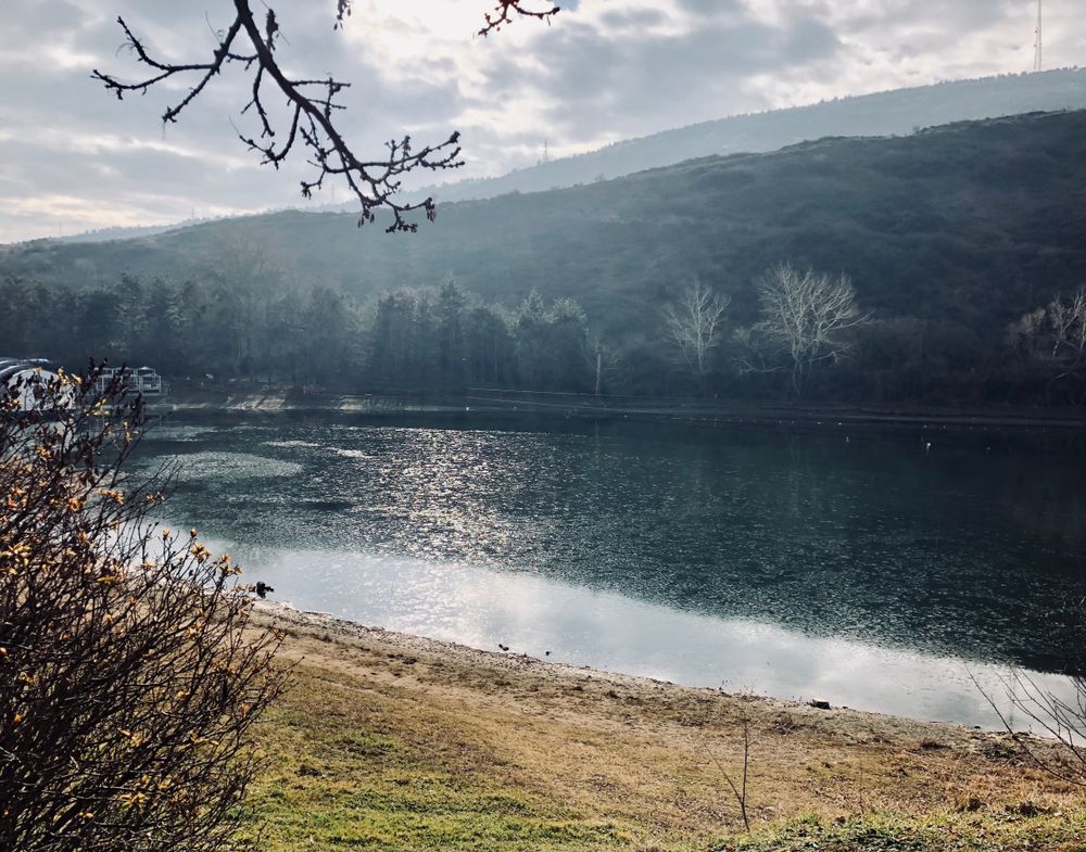 The calm waters of Turtle Lake